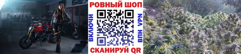 Купить Alpha-PVP  МЕФ  НБОМе  Бошки Шишки  Боготол