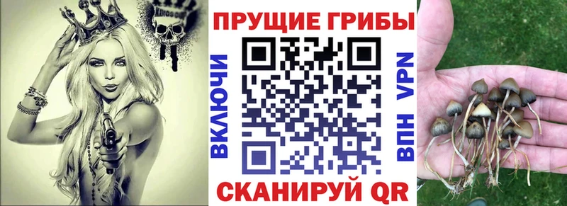 Галлюциногенные грибы мухоморы  Купить где  Боготол 